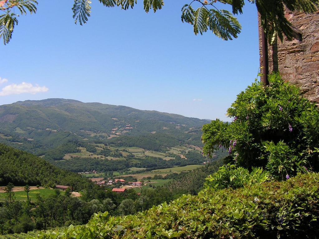 Fattoria Il Lago Dicomano Стая снимка