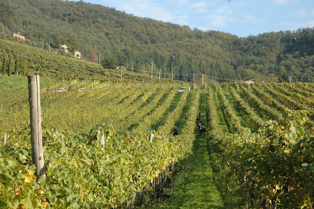Fattoria Il Lago Dicomano Екстериор снимка